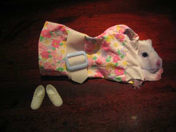 Picture of the gift Lucy got for X-mas.