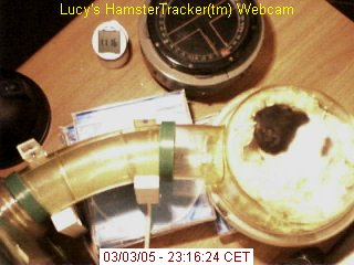 Saved Webcam snapshot.