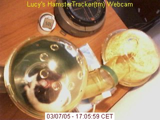 Saved Webcam snapshot.