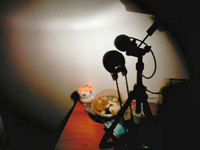 Picture of Webcam setup.