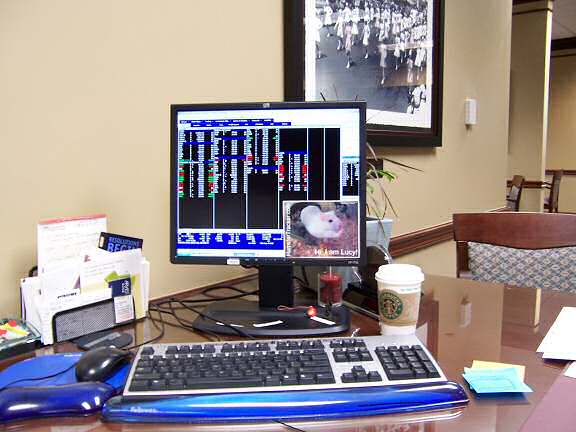 DIY Extreme HamsterTrackin'  by Andrea, Tulsa, Oklahoma, USA!