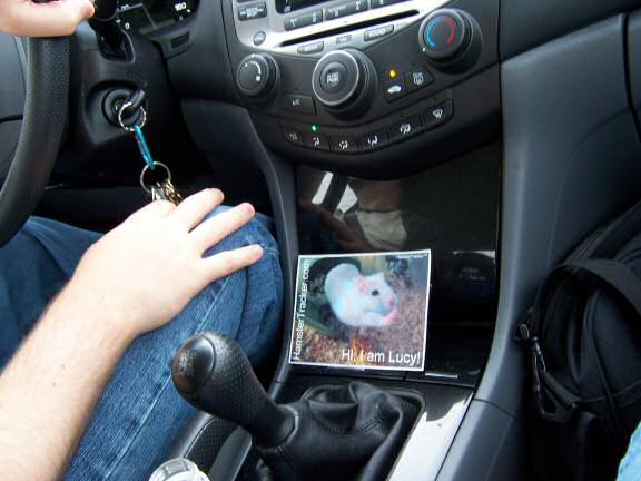 DIY Extreme HamsterTrackin' by Andrea, Dallas, Texas, USA!