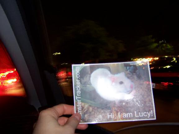 DIY Extreme HamsterTrackin' by Andrea, Dallas, Texas, USA!