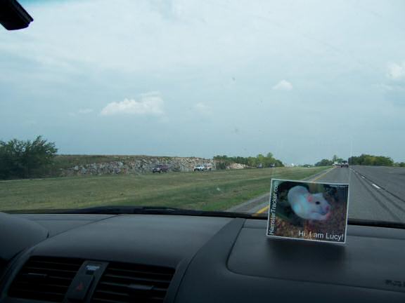 DIY Extreme HamsterTrackin' by Andrea, Dallas, Texas, USA!