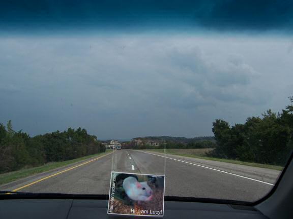 DIY Extreme HamsterTrackin' by Andrea, Dallas, Texas, USA!