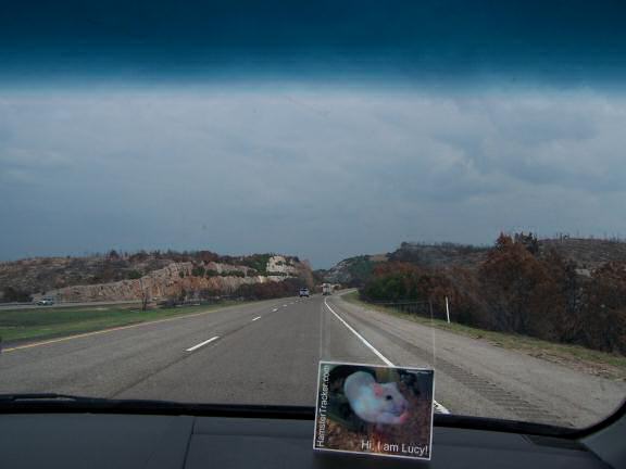 DIY Extreme HamsterTrackin' by Andrea, Dallas, Texas, USA!