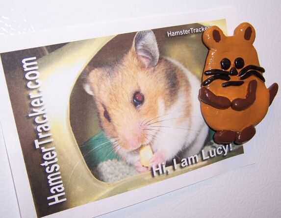Extreme HamsterTrackin' the Ambitious Hamster Magnet, by Paper Lotus design group.