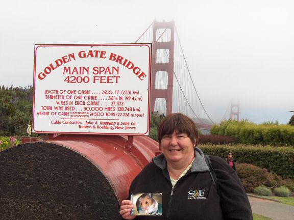 Extreme HamsterTrackin' California by Anton.