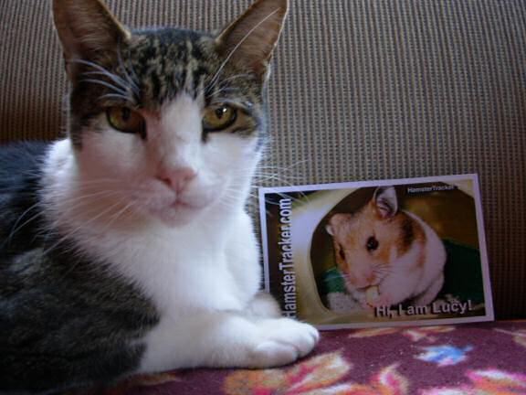 Extreme HamsterTrackin' with Hoo by Cedar.