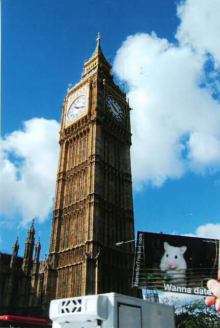 DIY Extreme HamsterTrackin' by Andrea, Dallas, Texas, USA!