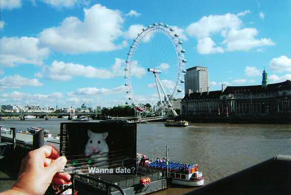 DIY Extreme HamsterTrackin' by Andrea, Dallas, Texas, USA!