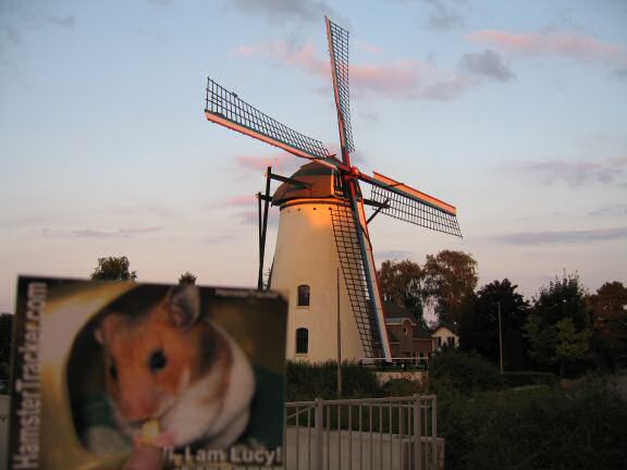 An Ultra Extreme HAmsterTrackin' Mission with my hamster Lucy !