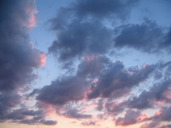 An Ultra Extreme HAmsterTrackin' Mission with my hamster Lucy !