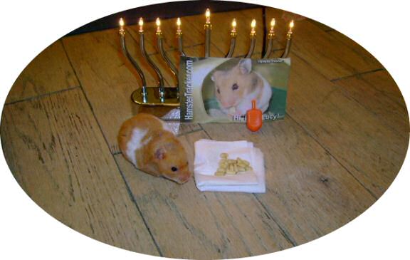 Dena's Happy Hanukkah (or X-mass) !