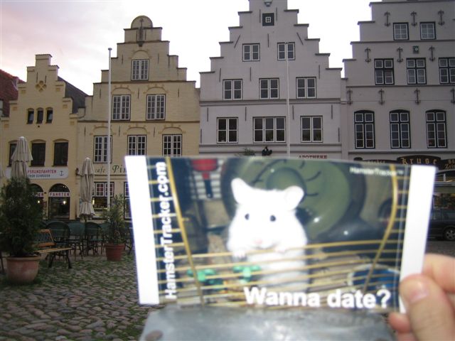 Extreme HamsterTrackin' Friedrichstadt, Nordfriesland, Germany!