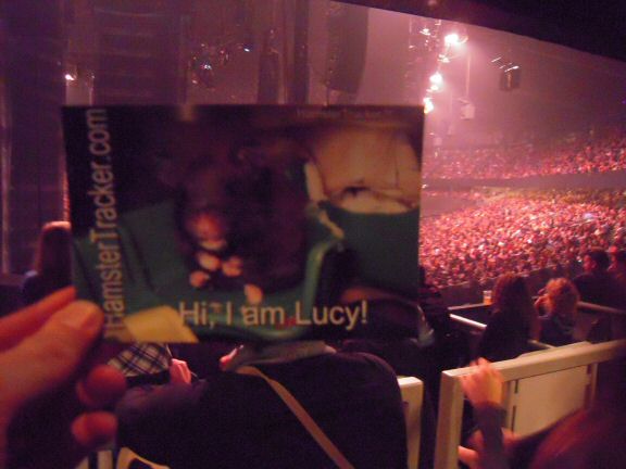 Extreme HamsterTrackin' Antwerp by Jasmijn.