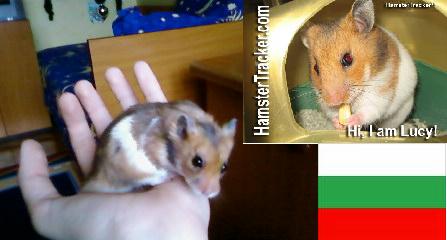 Extreme HamsterTrackin' hamster Jerry, by Nick.