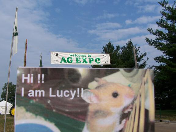 Extreme HamsterTrackin' East Lansing, Michigan by Jon.