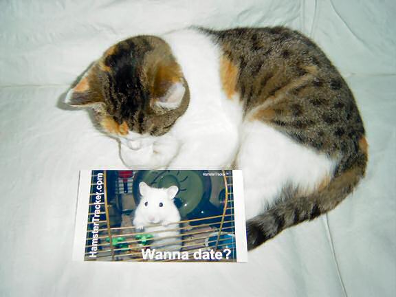 DIY Extreme HamsterTrackin' starring Jule, made by Eule in Germany.