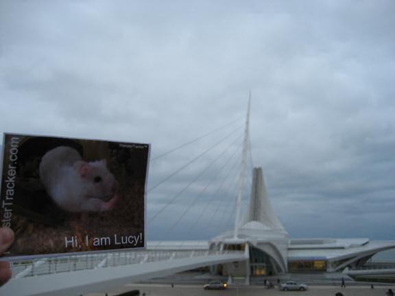 DIY Extreme HamsterTrackin' in Milwaukee, Wisconson USA by Katie!