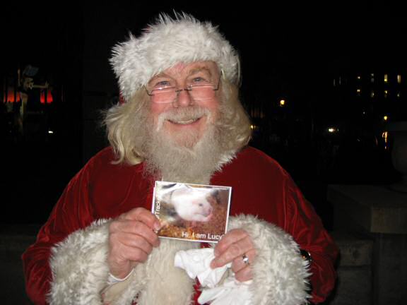 DIY Extreme HamsterTrackin' in Milwaukee, Wisconson USA by Katie!