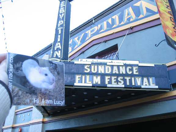 Extreme HamsterTrakin' by Katie