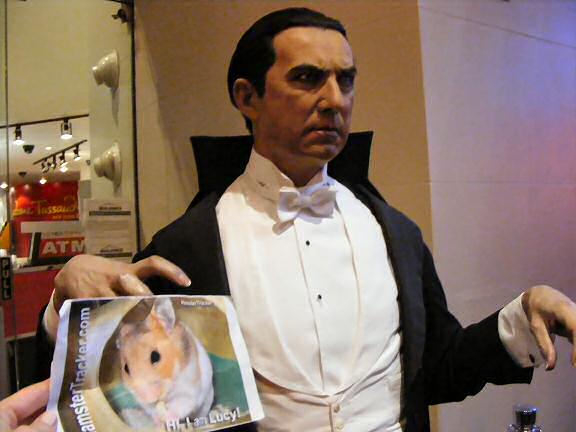 Extreme HamsterTrackin' by Katie in the New York, USA.