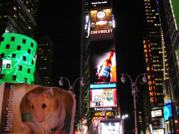 Extreme HamsterTrackin' by Katie in the New York, USA.