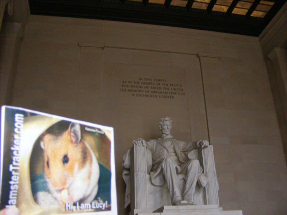 Extreme HamsterTrackin' Washington DC by Katie.