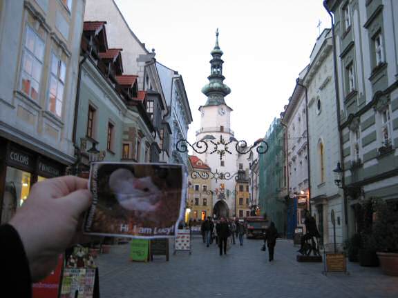 Extreme HamsterTrackin' in Bratislava by Katie