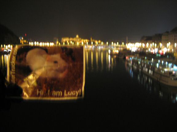 Extreme HamsterTrackin' in Budapest by Katie