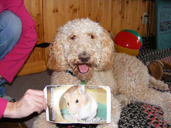 Extreme HamsterTrackin' by Katie in the USA.