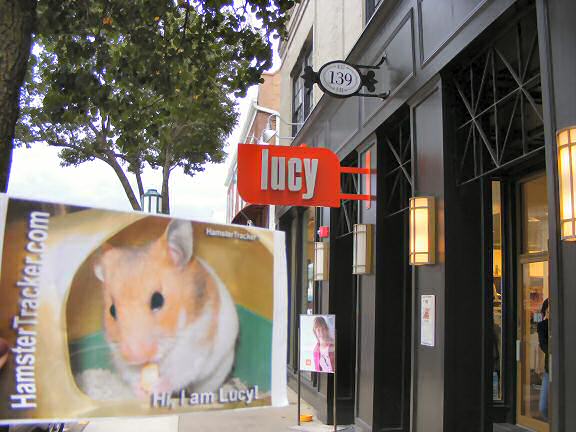 Extreme HamsterTrackin' by Katie in the USA.