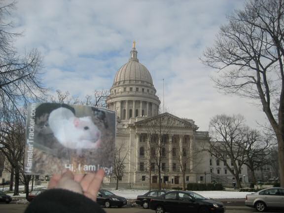 Lucy in Madison Wisconsin.