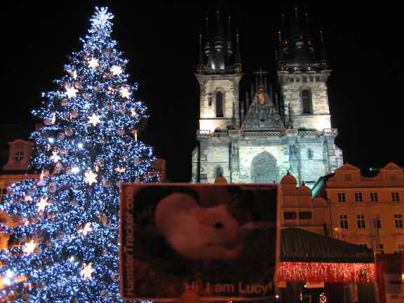Extreme HamsterTrackin' in Prague by Katie
