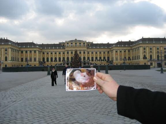 Extreme HamsterTrackin' in Vienna by Katie