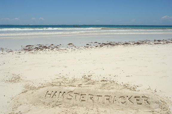 Extreme HamsterTrackin' in Kenia.