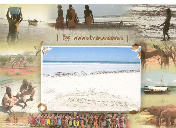 Extreme HamsterTrackin' in Kenia.