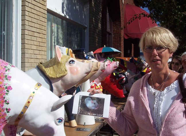 DIY Extreme HamsterTrackin' High Rock Lake in Salisbury, North Carolina USA!