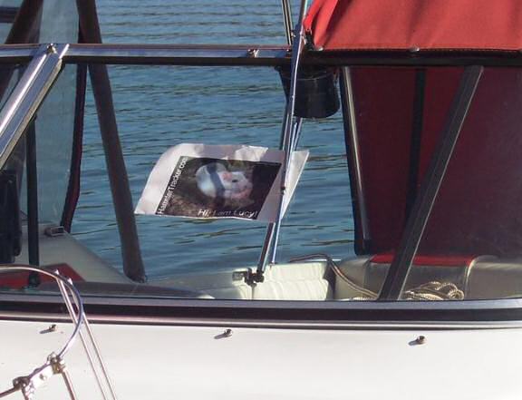 DIY Extreme HamsterTrackin' High Rock Lake in Salisbury, North Carolina USA!