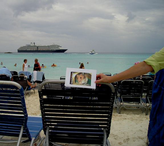 Extreme HamsterTrackin the Caribbean by Kris and her husband !