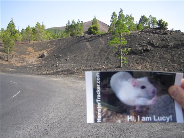 DIY Extreme HamsterTrackin' by DJane Vibrella and G-man, in La Palma, Spain.