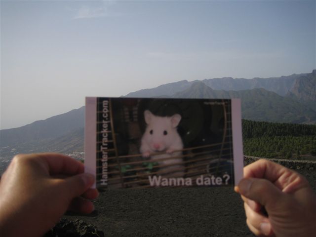 DIY Extreme HamsterTrackin' by DJane Vibrella and G-man, in La Palma, Spain.