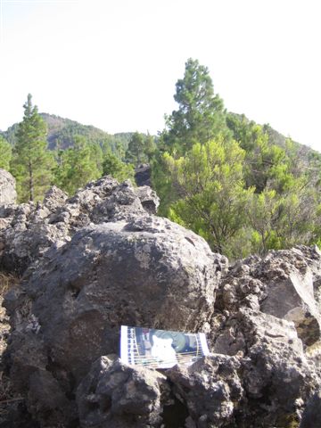 DIY Extreme HamsterTrackin' by DJane Vibrella and G-man, in La Palma, Spain.