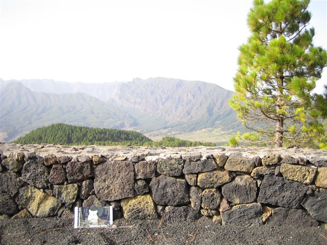 DIY Extreme HamsterTrackin' by DJane Vibrella and G-man, in La Palma, Spain.