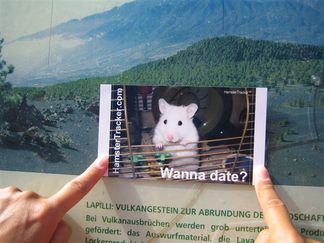 DIY Extreme HamsterTrackin' by DJane Vibrella and G-man, in La Palma, Spain.