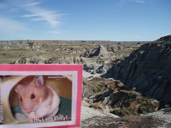 Extreme HamsterTrackin' by LeeAnn at the Dinoaur Provincial Part in Alberta Canada.