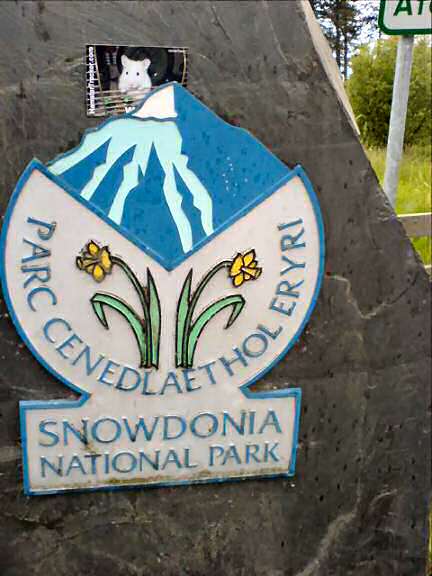 Lucy promotion in Wales.