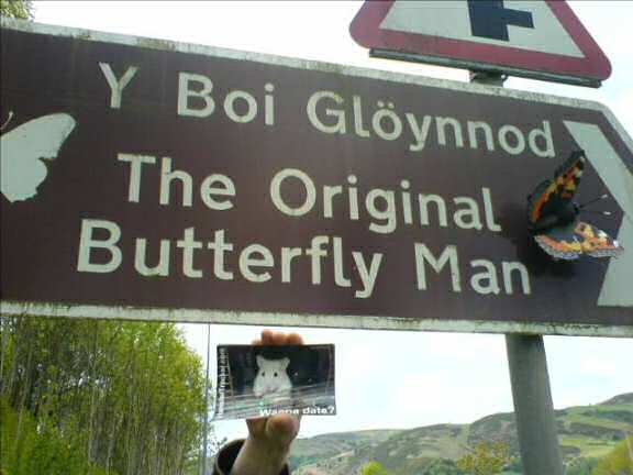 Lucy promotion in Wales.