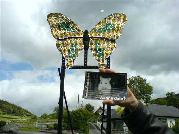 Lucy promotion in Wales.